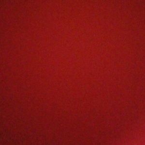 Meet your Posher, Lana